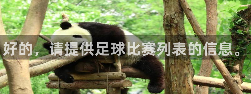  好的，请提供足球比赛列表的信息。