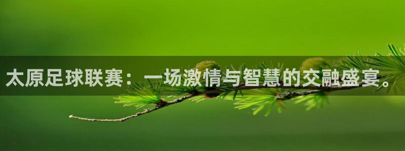  太原足球联赛：一场激情与智慧的交融盛宴。