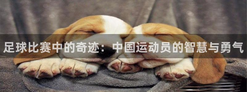 足球比赛中的奇迹：中国运动员的智慧与勇气