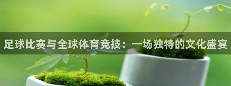  足球比赛与全球体育竞技：一场独特的文化盛宴