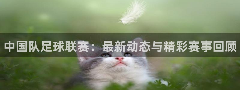  中国队足球联赛：最新动态与精彩赛事回顾