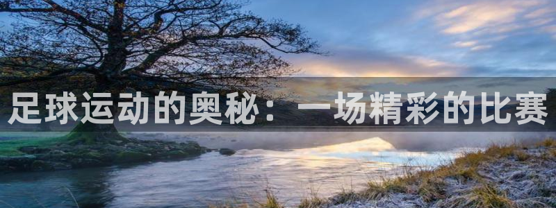  足球运动的奥秘：一场精彩的比赛