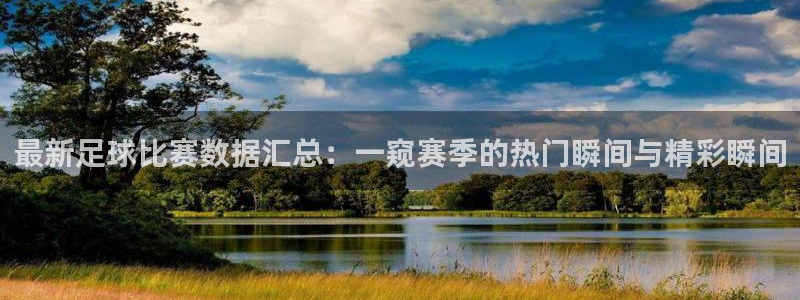 最新足球比赛数据汇总：一窥赛季的热门瞬间与精彩瞬间