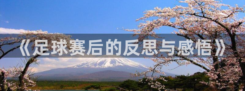  《足球赛后的反思与感悟》
