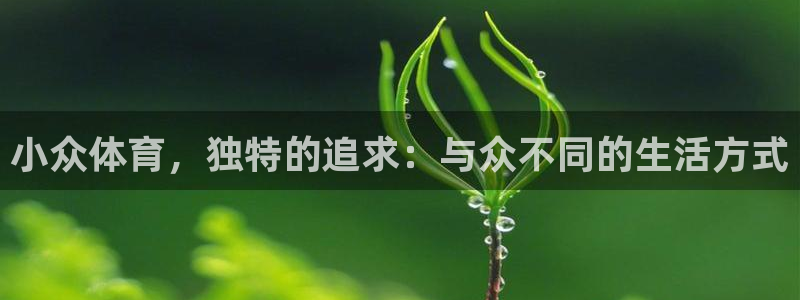 betway西汉姆