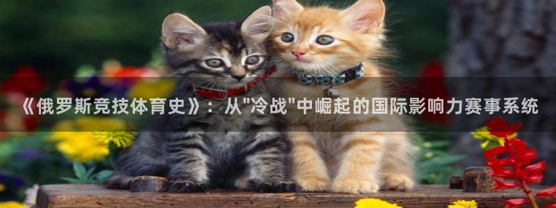 betway西汉姆官网