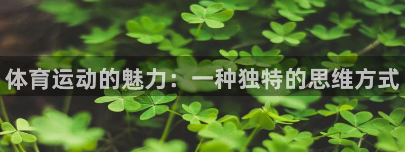 必威betway西汉姆联