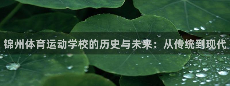 betway西汉姆