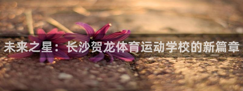 必威betway西汉姆联