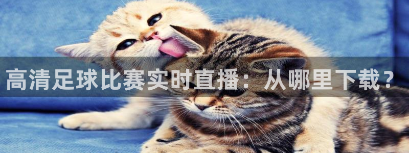  高清足球比赛实时直播：从哪里下载？
