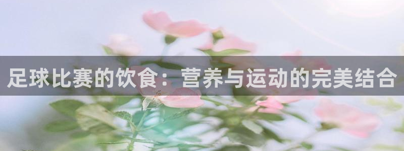 足球比赛的饮食：营养与运动的完美结合