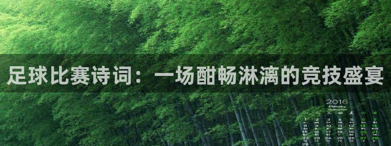 足球比赛诗词：一场酣畅淋漓的竞技盛宴