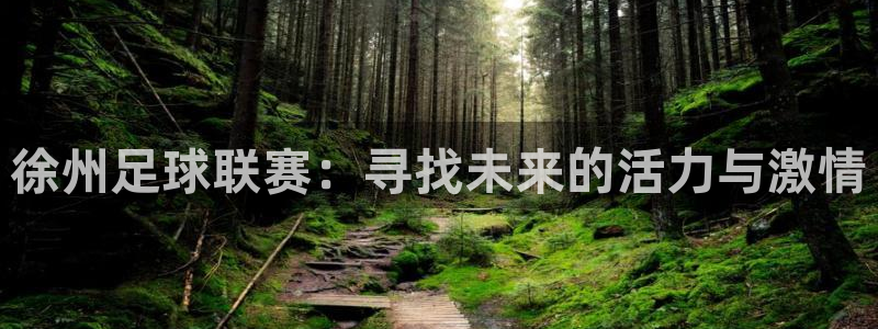 徐州足球联赛：寻找未来的活力与激情