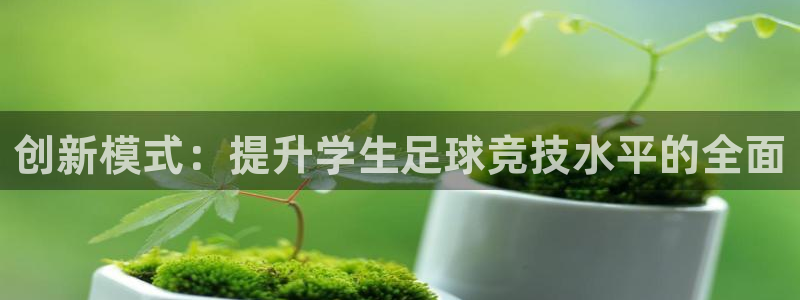  创新模式：提升学生足球竞技水平的全面