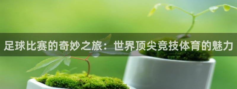  足球比赛的奇妙之旅：世界顶尖竞技体育的魅力