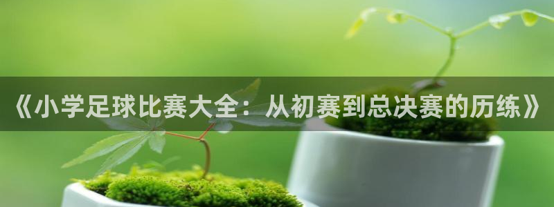 《小学足球比赛大全：从初赛到总决赛的
