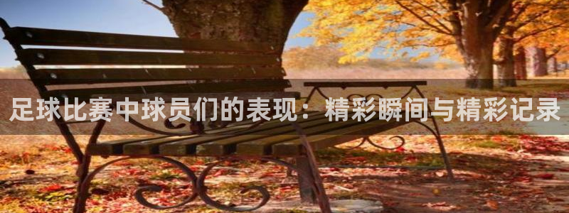 足球比赛中球员们的表现：精彩瞬间与精彩记录