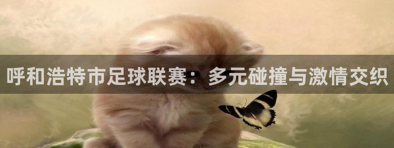 呼和浩特市足球联赛：多元碰撞与激情交