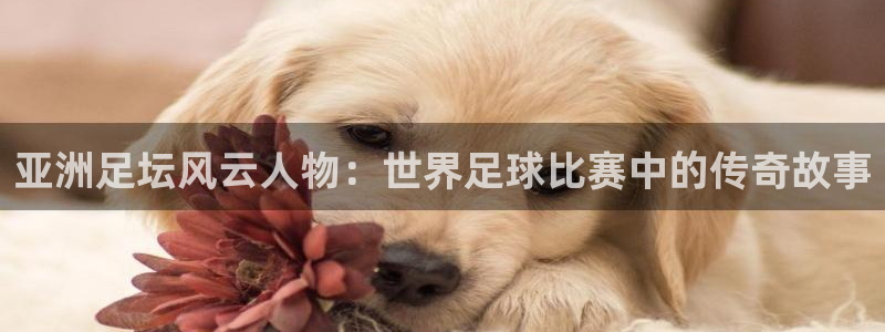 亚洲足坛风云人物：世界足球比赛中的传奇故事