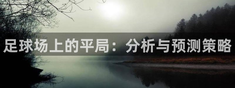 足球场上的平局：分析与预测策略