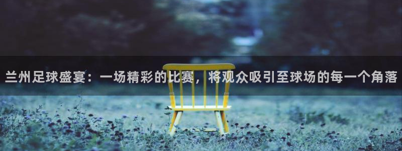 兰州足球盛宴：一场精彩的比赛，将观众吸引至球场的每一个角落