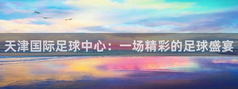 天津国际足球中心：一场精彩的足球盛宴