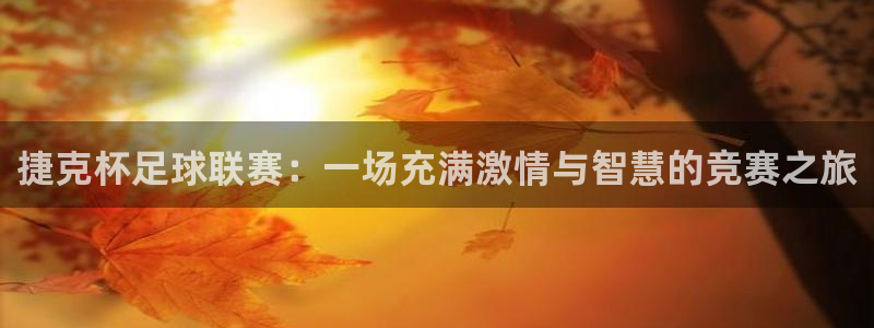 捷克杯足球联赛：一场充满激情与智慧的
