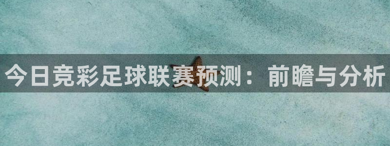 今日竞彩足球联赛预测：前瞻与分析