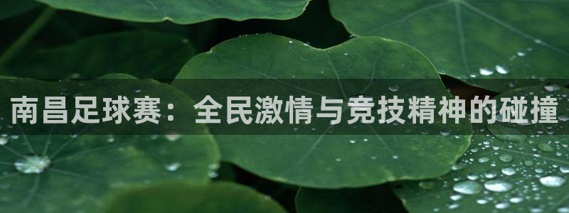 南昌足球赛：全民激情与竞技精神的碰撞