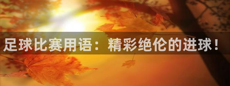 足球比赛用语：精彩绝伦的进球！