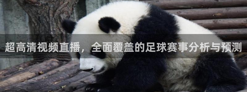 超高清视频直播，全面覆盖的足球赛事分