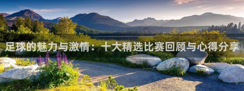 足球的魅力与激情：十大精选比赛回顾与心得分享
