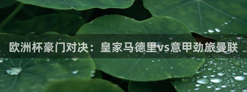 欧洲杯豪门对决：皇家马德里vs意甲劲