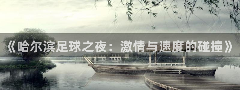 《哈尔滨足球之夜：激情与速度的碰撞》