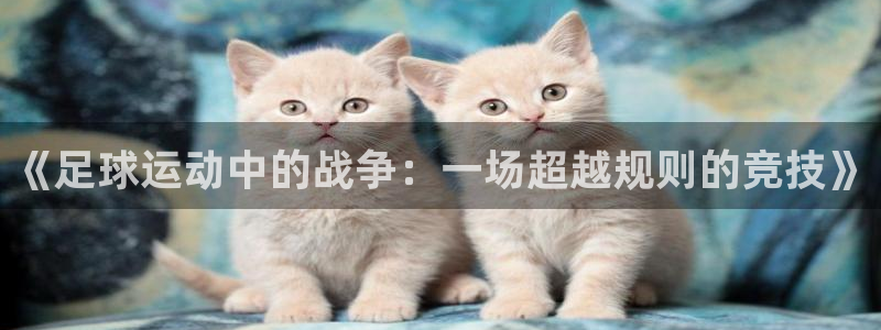 《足球运动中的战争：一场超越规则的竞技》