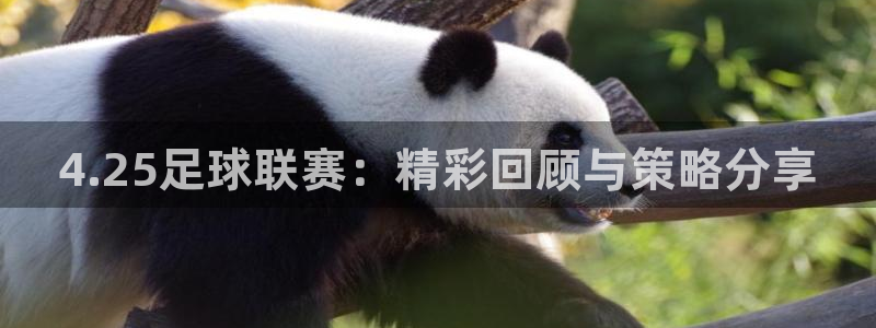 4.25足球联赛：精彩回顾与策略分享