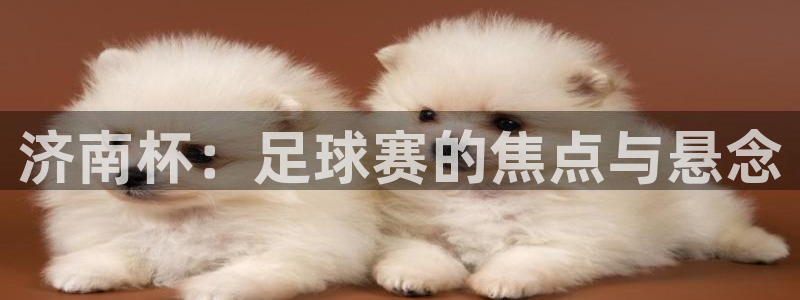 济南杯：足球赛的焦点与悬念