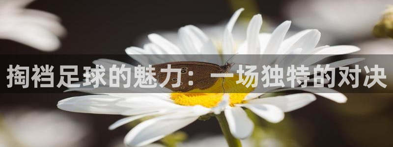 掏裆足球的魅力：一场独特的对决