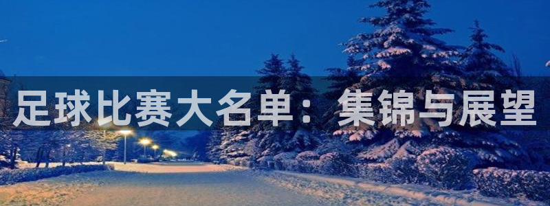 足球比赛大名单：集锦与展望