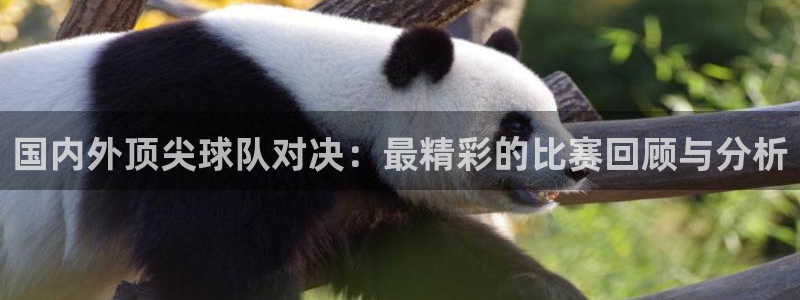 国内外顶尖球队对决：最精彩的比赛回顾