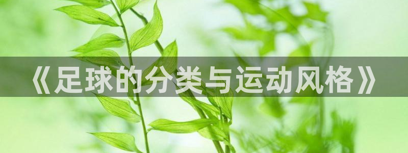 betway西汉姆联官网