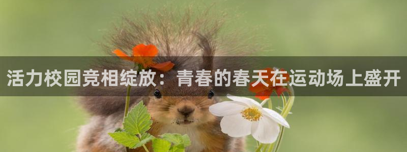 必威betway西汉姆联