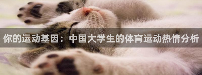 betway西汉姆
